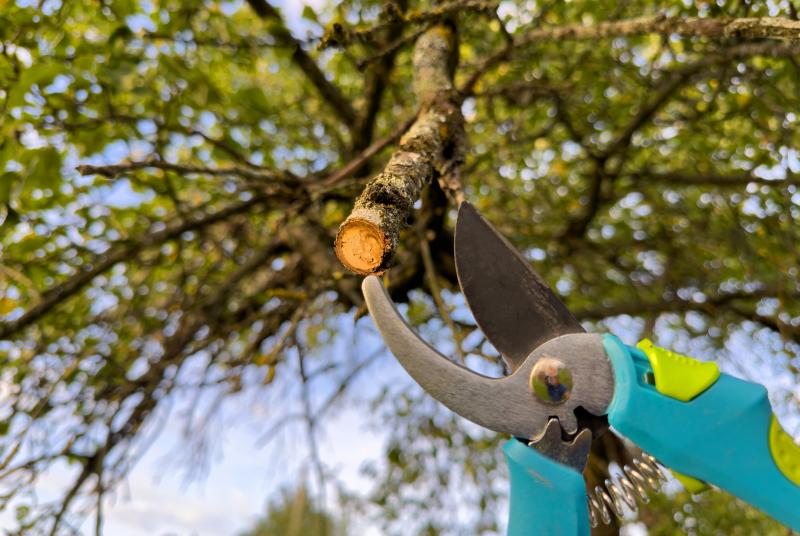 Planifiez l'entretien de vos espaces verts selon les saisons