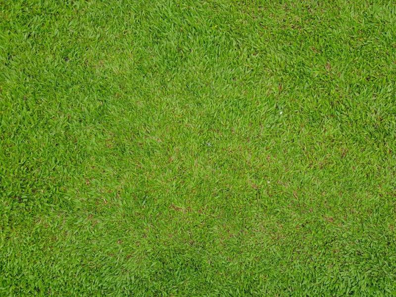 Cr&eacute;ez une pelouse parfaite avec un engazonnement &agrave; Metzervisse