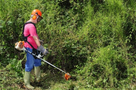 D&eacute;broussaillage &agrave; Metzervisse, pr&eacute;parez efficacement votre terrain