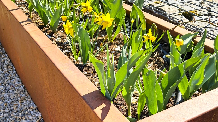 Jardin paysager extérieur avec aménagements en terrasses