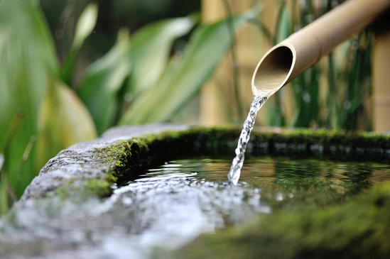 Scène extérieure paisible d'un jardin japonais avec fontaine en bambou versant de l'eau claire dans un bassin en pierre couvert de mousse
