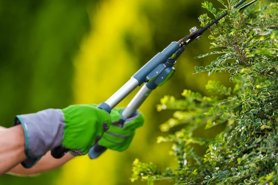 Jardinier professionnel en combinaison de protection verte utilisant une débroussailleuse thermique pour l'entretien d'espaces verts