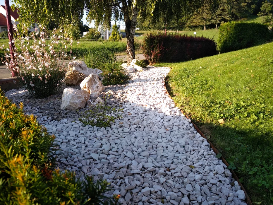 Jardin paysager résidentiel en automne, vue au ras du sol