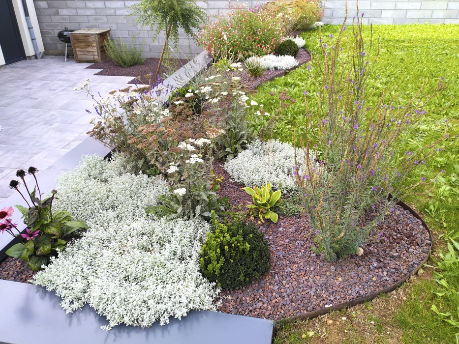 Jardin paysager résidentiel en automne, vue au ras du sol