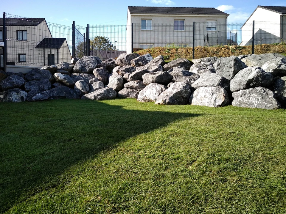 Jardin paysagé extérieur avec massif fleuri comprenant primevères violettes et blanches, feuillage vert, conifère nain aux jeunes pousses dressées