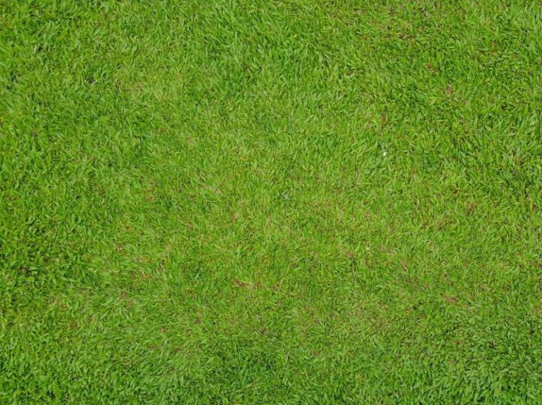 Créez une pelouse parfaite avec un engazonnement à Metzervisse