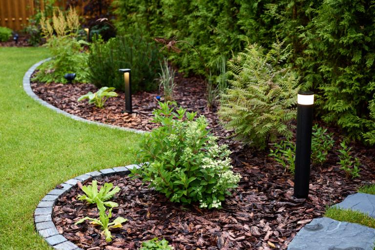 Les étapes essentielles pour réussir la création de votre jardin idéal